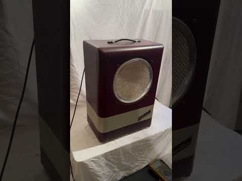1950 Silvertone Model 1344 18-Watt 1x12 Guitar Combo - Rola Field Coil Spker image 9