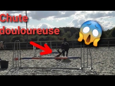Un cour de saut avec Denver (encore une chute ?)😥