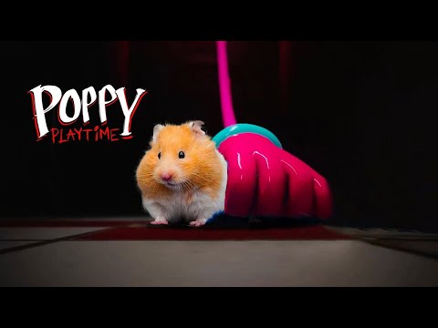 Poppy Playtime Chapter 2 In Real Life 🐹 Hamster Escape From Mommy Long Legs
