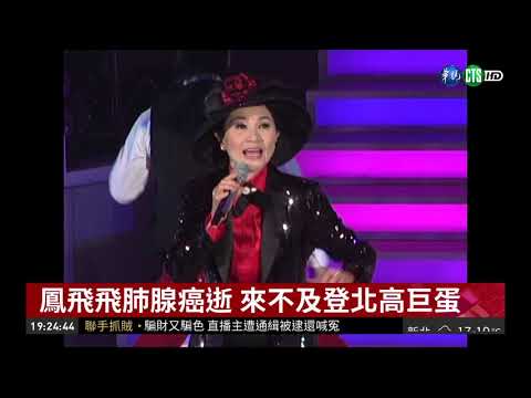 高市名人紀念日 1月3日追念鳳飛飛