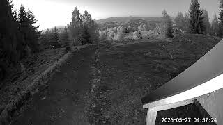 2026-05-27 caprioara