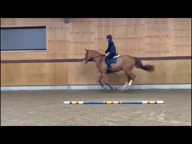 Jumping under the saddle
