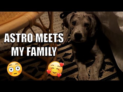 Astro Meets My Family