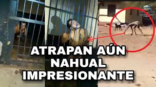 NAHUAL en MÉXICO 2021