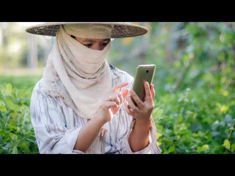 Bertani Tidak Ketinggalan Zaman (Interview bersama Prof Pertanian)