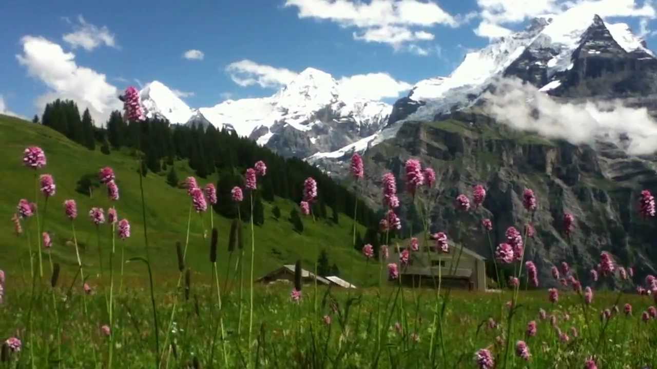 Experience the breathtaking Alpine vistas on the Blumental Panorama Trail.
