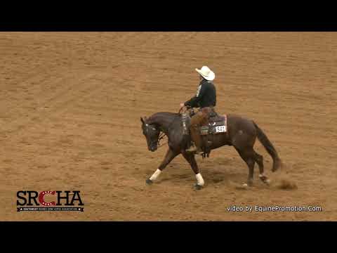SJR Royal Diamond shown by Justin Wright -  2021 SRCHA Pre Futurity (Open Futurity, Rein)