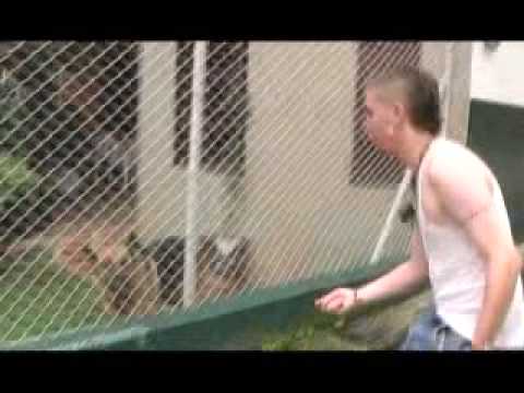 "Hétores 2007" - "Soy Mariguanero" Suscríbanse pa mas videos