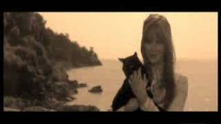 X-Men/Harry Potter AU - Lily's Death