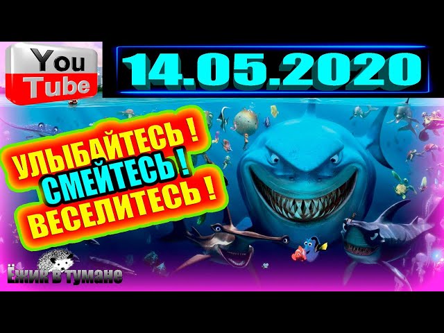 ПОДБОРКА Лучших Приколов Смешные Видео из ТИК ТОКА