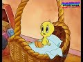 Baby Looney Toons Hindi Mini Episode A