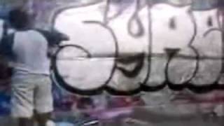 graffiti (syrek) liken