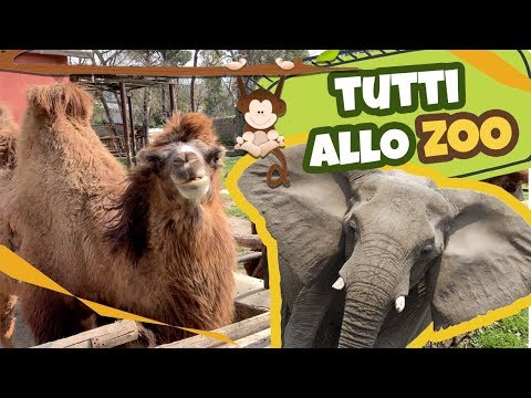 Gita allo ZOO di napoli con Versi animali fattoria