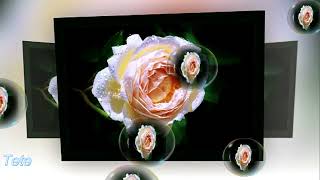 ENRIQUE BUNBURY  💕❤💕  AUNQUE NO SEA CONMIGO  💕❤💕