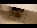 Girls Blows It On The Toilet