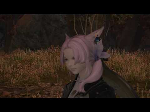 Carpenter Lv. 50 Quest   ⇒  Saving Captain Gairhard