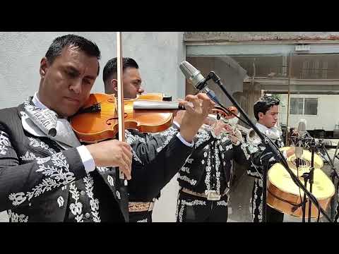El Mariachi Alazán - El Rey (Vicente Fernández)