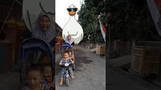 Download lagu CHASED BY A GIANT GOOSE #shorts mp3 Download lagu CHASED BY A GIANT GOOSE #shorts mp3
