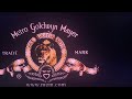MGM Television 2003 Logo V5