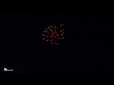 76 Pro Line - Shootin Shells