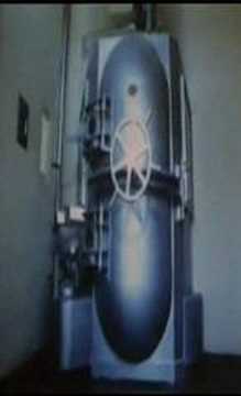 gas chamber real footage