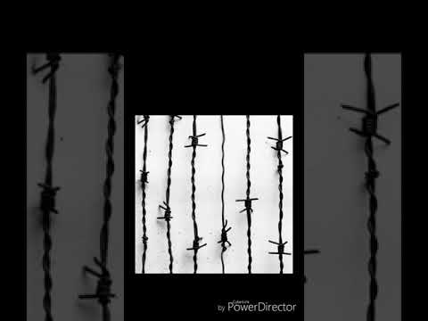 Video thumbnail for Alles ist erleuchtet