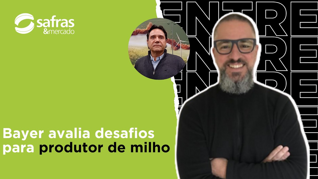 Produtor de milho enfrenta grande desafio climático e financeiro, avalia Bayer