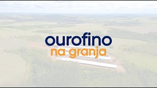 Medidas de biosseguridade na prática em granjas de frango