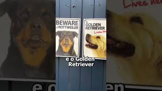 Ele não respeitou a placa de aviso e isso aconteceu #shorts