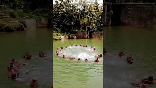 Download lagu lingkaran kecil...lingkaran besar👍 mp3