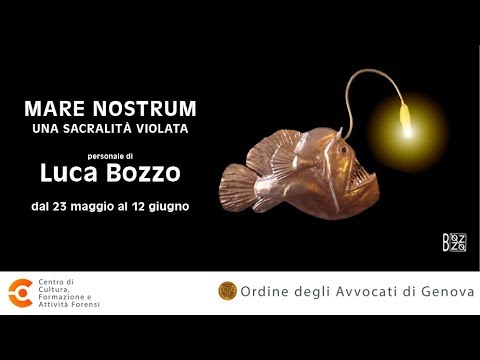 riproduce video in popup