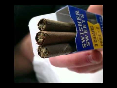 Birdy Bird -Kushed Up-