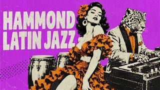 HAMMOND LATIN JAZZ Vol. 1 • Warm Organ Melodies & Latin Jazz Grooves | ORGAN MANIA