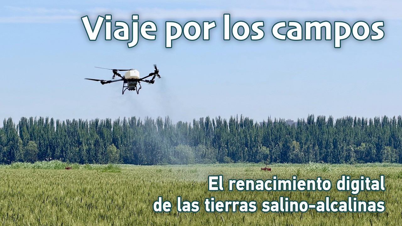 Viaje por los campos | El renacimiento digital de las tierras salino-alcalinas