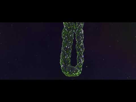 Michael Shynes 'Criminal' // Official Music Video