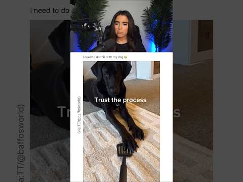 She Taught Her Dog a Crazy Trick 😭