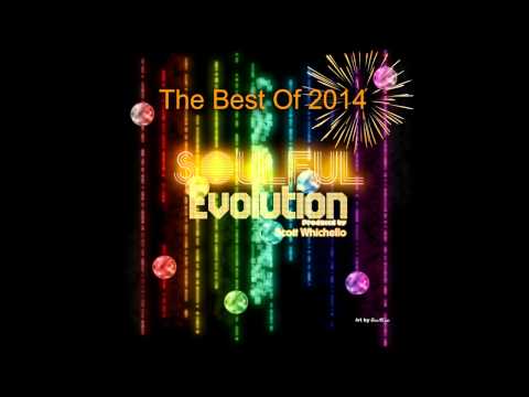 Soulful Evolution The Best Of 2014 Special