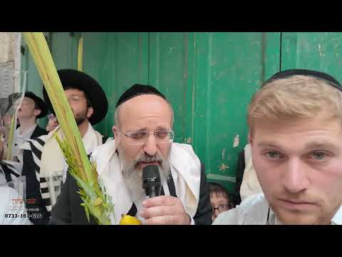 סיבוב שערים - שער הברזל - הרב אריה שפירא - סוכות תשפ"ז