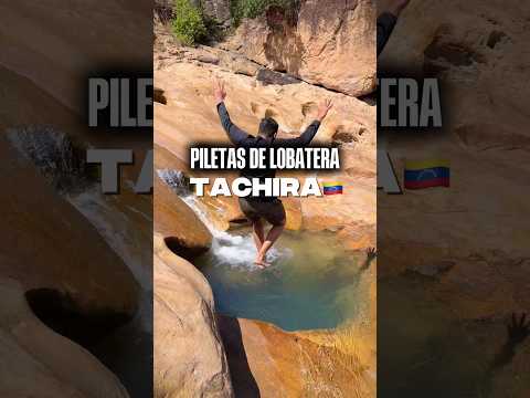 PILETAS DE LOBATERA, ESTADO TACHIRA VENEZUELA 📍🇻🇪