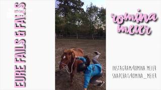Best Of: Horse Fails & Falls 😂 - Community Fails (Abo Special) Best Of: Horse Fails & Falls 😂 - Community Fails (Abo Special)