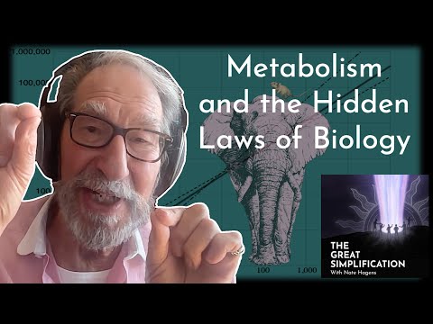 Geoffrey West: "Metabolism and the Hidden Laws of Biology" | The Great Simplification #117