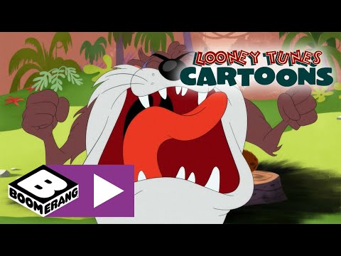 Looney Tunes Cartoons | Stubborn Coconut | Boomerang UK