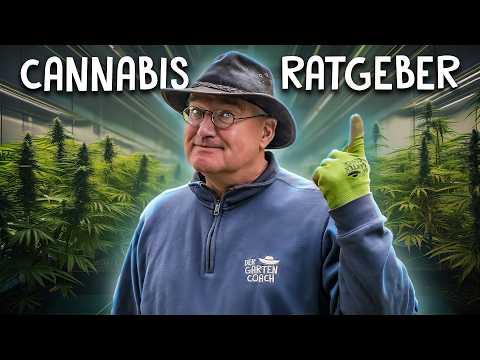 Growing cannabis for beginners 🥦 - The step-by-step guide with @HightereGedanken