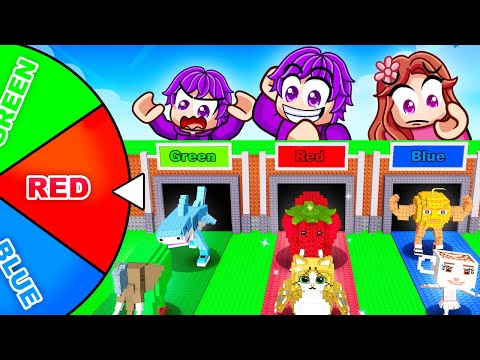 OP WHEEL Chooses My ROW in ADMINS SERVER in Steal a Brainrot