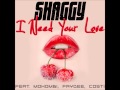 Samba I Need Your Love Shaggy
