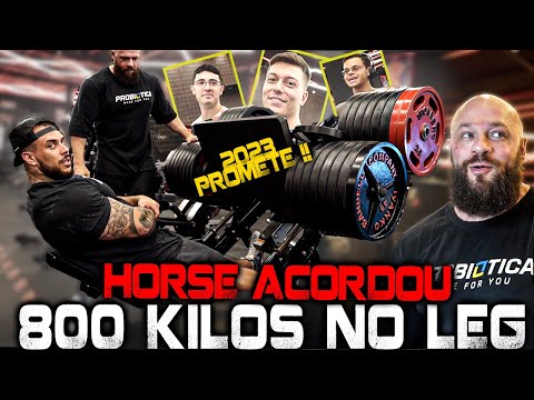 HORSE ACORDOU - 800 KILOS NO LEG !!!