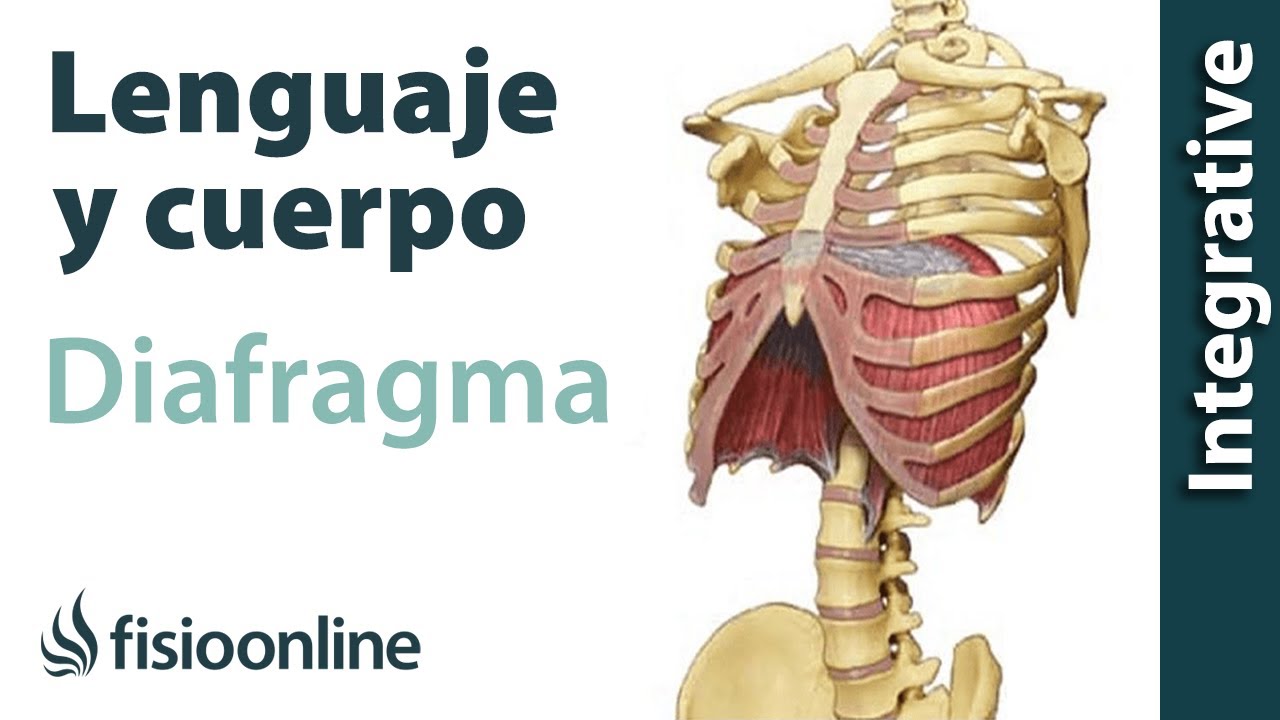 Diafragma - Lenguaje y cuerpo