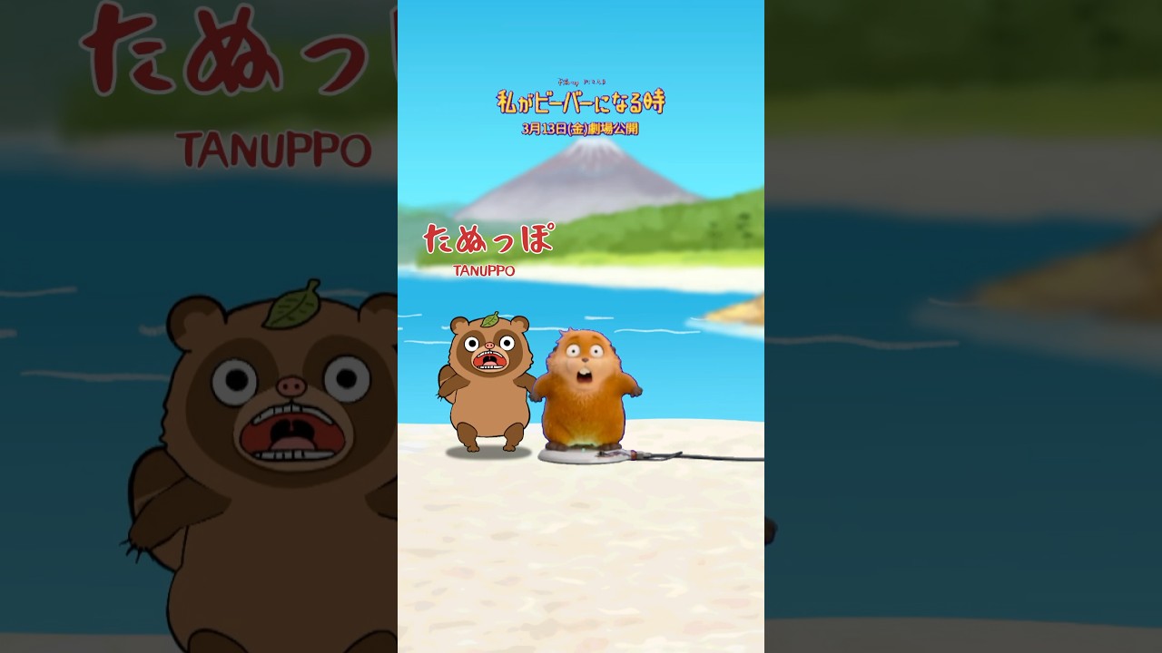 たぬっぽとビーバーどっちがかわいい？ #ビーバーダンス