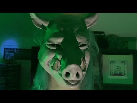 Video thumbnail for Piggy Bastards