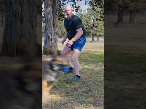 Never risk your dogs safety for views. Good trainers and pet parents keep their dog safe.